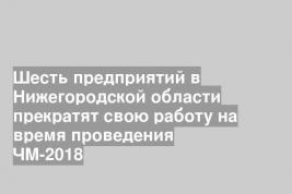 Шесть предприятий в Нижегородской области прекратят свою работу на время проведения ЧМ-2018