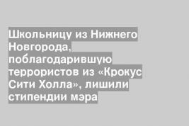 Школьницу из Нижнего Новгорода, поблагодарившую террористов из «Крокус Сити Холла», лишили стипендии мэра