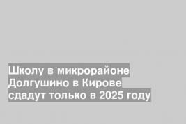Школу в микрорайоне Долгушино в Кирове сдадут только в 2025 году