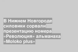 В Нижнем Новгороде силовики сорвали презентацию номера «Революция» альманаха «Moloko plus»