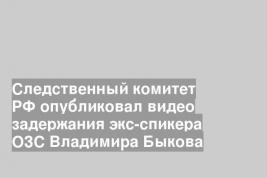 Следственный комитет РФ опубликовал видео задержания экс-спикера ОЗС Владимира Быкова