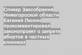 Спикер Заксобрания Нижегороской области Евгений Люлин прокомментировал законопроект о запрете абортов в частных клиниках