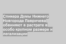Спикера Думы Нижнего Новгорода Лавричева обвиняют в растрате в особо крупном размере и легализации