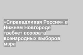 «Справедливая Россия» в Нижнем Новгороде требует возврата всенародных выборов мэра