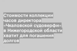Стоимости коллекции часов директора «Чкаловской судоверфи» в Нижегородской области хватит для погашения долгов