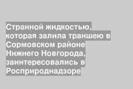 Странной жидкостью, которая залила траншею в Сормовском районе Нижнего Новгорода, заинтересовались в Росприроднадзоре