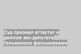 Суд признал аттестат и диплом экс-депутата Гельжиниса фальшивками