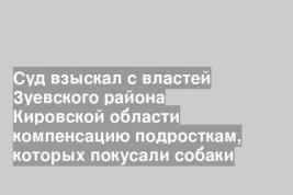 Суд взыскал с властей Зуевского района Кировской области компенсацию подросткам, которых покусали собаки