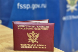 Тамбовчанин оплатил миллионный долг, чтобы улететь за границу