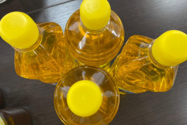 Тамбовская область значительно увеличила экспорт масложировой продукции