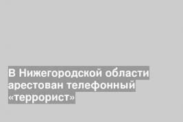 В Нижегородской области арестован телефонный «террорист»