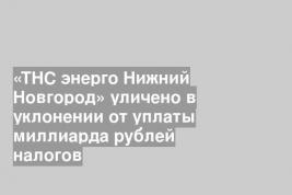 «ТНС энерго Нижний Новгород» уличено в уклонении от уплаты миллиарда рублей налогов