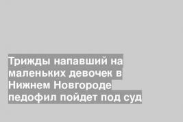 Трижды напавший на маленьких девочек в Нижнем Новгороде педофил пойдет под суд