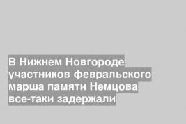 В Нижнем Новгороде участников февральского марша памяти Немцова все-таки задержали