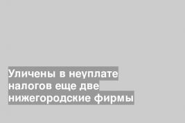 Уличены в неуплате налогов еще две нижегородские фирмы