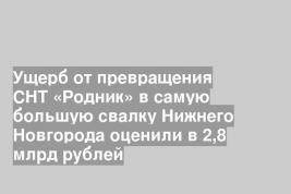 Ущерб от превращения СНТ «Родник» в самую большую свалку Нижнего Новгорода оценили в 2,8 млрд рублей