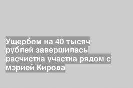 Ущербом на 40 тысяч рублей завершилась расчистка участка рядом с мэрией Кирова