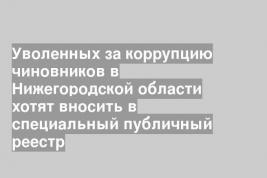 Уволенных за коррупцию чиновников в Нижегородской области хотят вносить в специальный публичный реестр