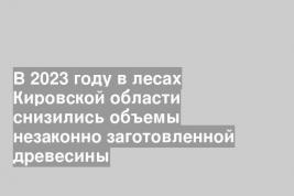 В 2023 году в лесах Кировской области снизились объемы незаконно заготовленной древесины
