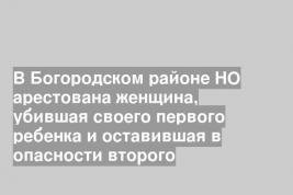 В Богородском районе НО арестована женщина, убившая своего первого ребенка и оставившая в опасности второго