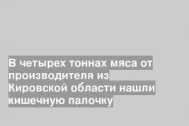 В четырех тоннах мяса от производителя из Кировской области нашли кишечную палочку