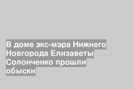 В доме экс-мэра Нижнего Новгорода Елизаветы Солонченко прошли обыски