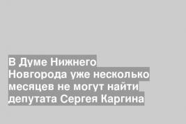 В Думе Нижнего Новгорода уже несколько месяцев не могут найти депутата Сергея Каргина
