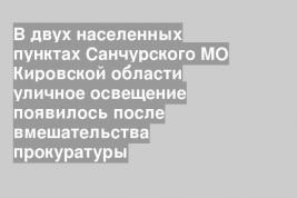 В двух населенных пунктах Санчурского МО Кировской области уличное освещение появилось после вмешательства прокуратуры