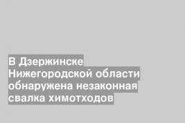 В Дзержинске Нижегородской области обнаружена незаконная свалка химотходов
