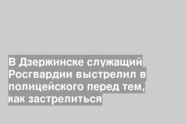 В Дзержинске служащий Росгвардии выстрелил в полицейского перед тем, как застрелиться