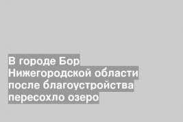 В городе Бор Нижегородской области после благоустройства пересохло озеро