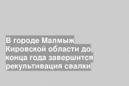 В городе Малмыж Кировской области до конца года завершится рекультивация свалки