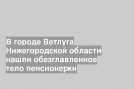 В городе Ветлуга Нижегородской области нашли обезглавленное тело пенсионерки