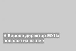 В Кирове директор МУПа попался на взятке