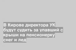 В Кирове директора УК будут судить за упавший с крыши на пенсионерку снег и лед