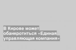 В Кирове может обанкротиться «Единая управляющая компания»