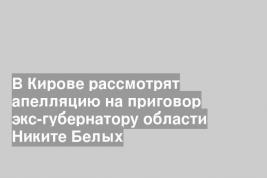 В Кирове рассмотрят апелляцию на приговор экс-губернатору области Никите Белых