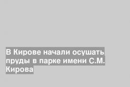 В Кирове начали осушать пруды в парке имени С.М. Кирова