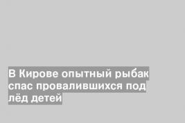 В Кирове опытный рыбак спас провалившихся под лёд детей
