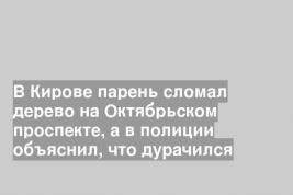 В Кирове парень сломал дерево на Октябрьском проспекте, а в полиции объяснил, что дурачился