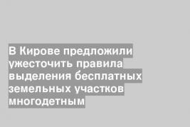 В Кирове предложили ужесточить правила выделения бесплатных земельных участков многодетным