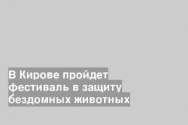 В Кирове пройдет фестиваль в защиту бездомных животных