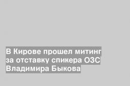 В Кирове прошел митинг за отставку спикера ОЗС Владимира Быкова
