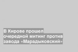 В Кирове прошел очередной митинг против завода «Марадыковский»
