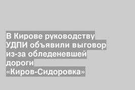 В Кирове руководству УДПИ объявили выговор из-за обледеневшей дороги «Киров-Сидоровка»