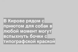 В Кирове рядом с приютом для собак в любой момент могут вспыхнуть бочки с типографской краской