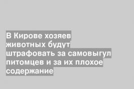 В Кирове хозяев животных будут штрафовать за самовыгул питомцев и за их плохое содержание
