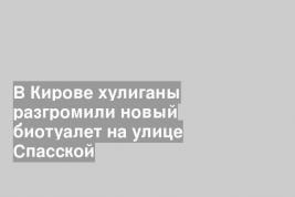 В Кирове хулиганы разгромили новый биотуалет на улице Спасской