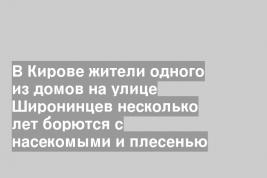 В Кирове жители одного из домов на улице Широнинцев несколько лет борются с насекомыми и плесенью