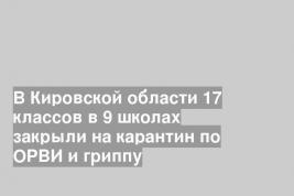В Кировской области 17 классов в 9 школах закрыли на карантин по ОРВИ и гриппу